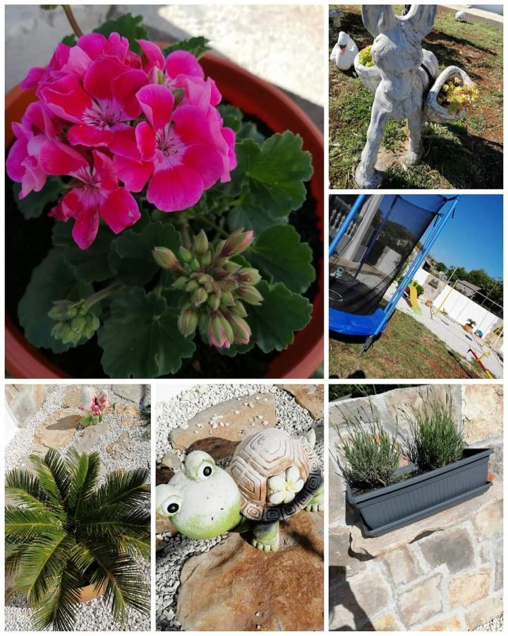 Villa Roza 2 マリナ エクステリア 写真